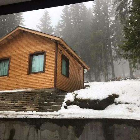 Family Hotel Ginger Pamporovo Kültér fotó