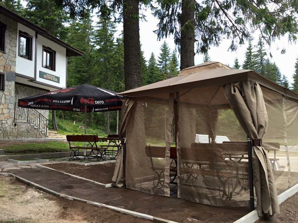 Family Hotel Ginger Pamporovo Kültér fotó